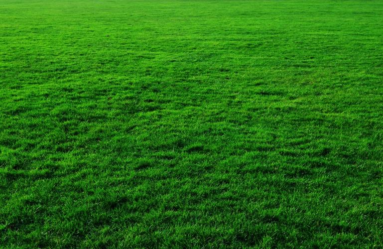 简介说明绿色草地摄影图片是彼岸图网给您推荐的高清4k风景壁纸图片