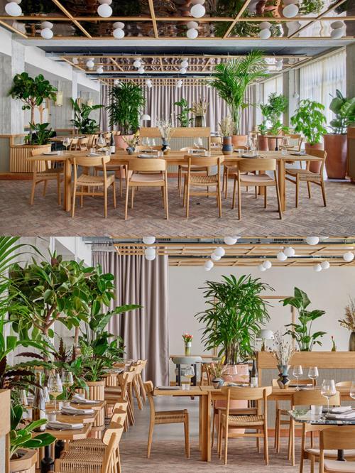 餐厅绿植设计案例分享