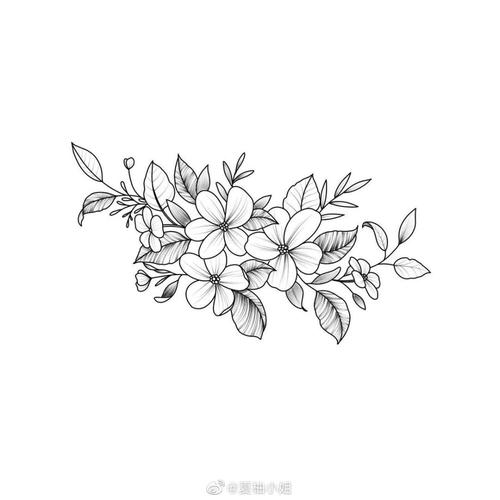 植物花卉线稿黑白手绘画画