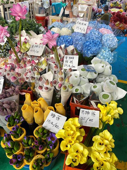 昆明61斗南花卉市场