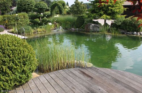 国外园林池塘图片