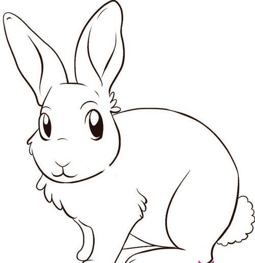 可爱小兔子怎么画小兔子简笔画画法轻松学画动物原创