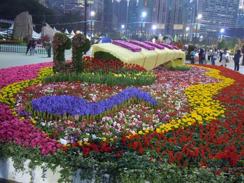 原摄香港花展之花坛设计26p