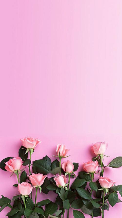 粉色浪漫鲜花h5背景