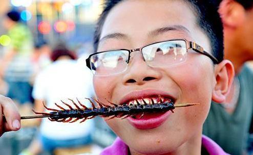 农村十大虫子美食你吃过几样有一种一克要几百元能吃起吗