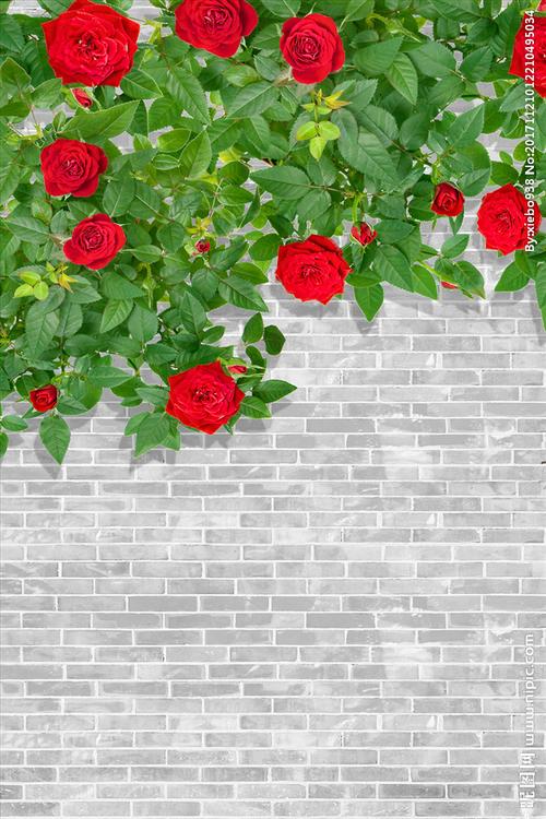 红玫瑰蔷薇墙面立体玄关过道图片