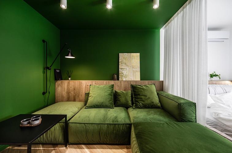 46北欧小户型一房装修效果图绿色系清新装修案例效果图