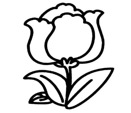 各种花花素材花朵免费下载花素材各种花水彩手绘画朵矢量图花朵的简笔