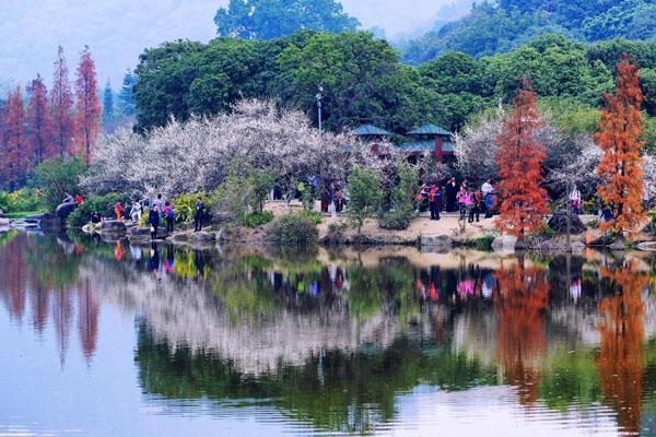 广州春天哪里好玩的景点推荐广州春季旅游好去处