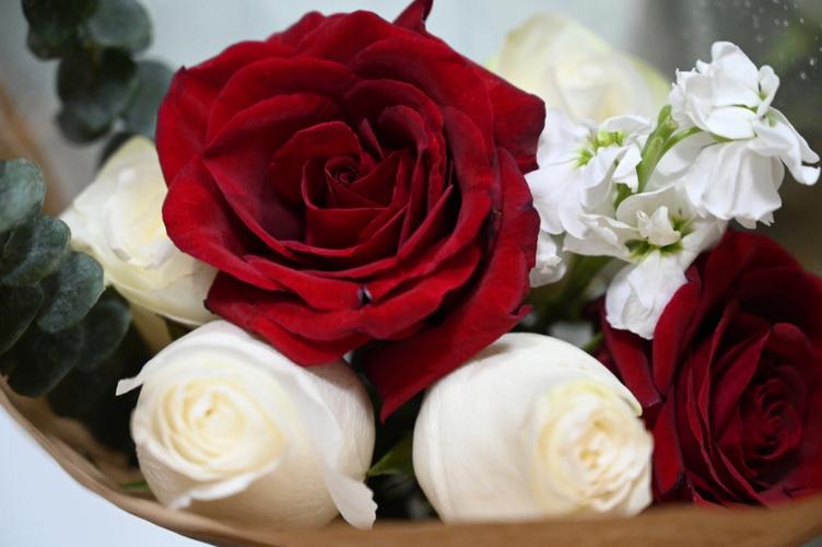 玫瑰予浪漫鲜花配美人红玫瑰