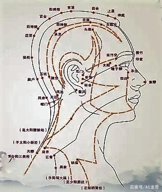 从头部经络的循行来区分头痛的类型针灸取穴依据及特效引经草药
