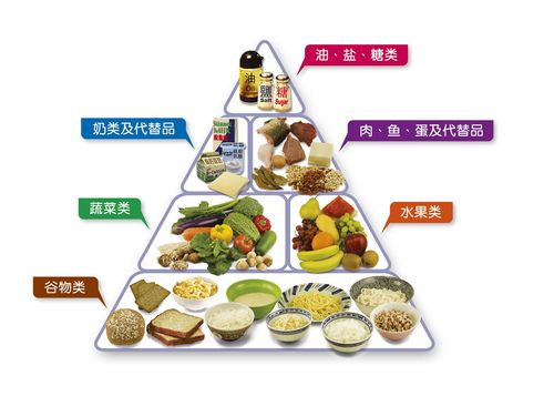 饮食结构金字塔营养食物金字塔