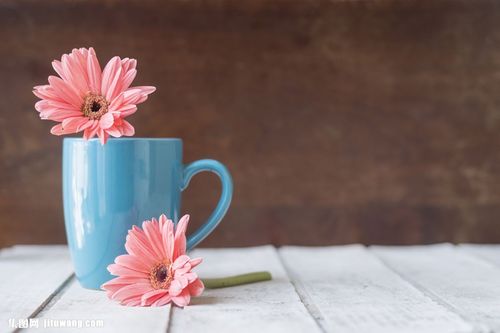茶杯里的鲜花图片