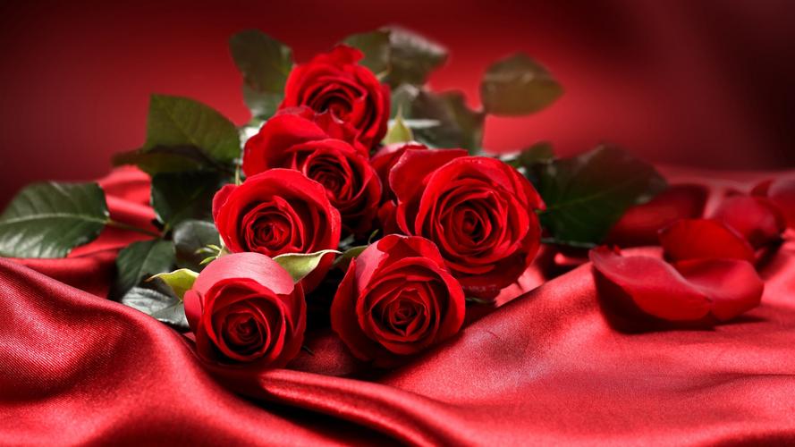 一束鲜花红玫瑰爱情情人节