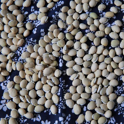 白扁豆云南农家彝家老品种山地小颗粒药用祛湿扁豆精选杂粮2斤