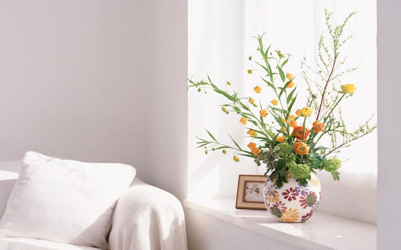 清新简约室内花卉植物唯美高清桌面壁纸下载