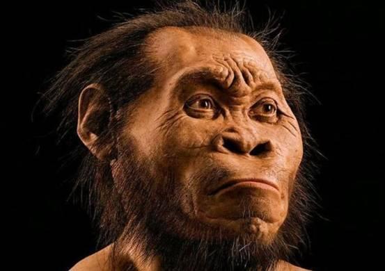 为何类人猿没尾巴或与2500万年前基因突变有关人类是变异生物