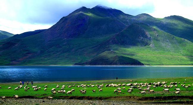 西藏热门旅游景点羊卓雍措旅游攻略低音号