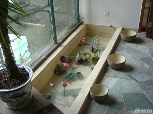 创意小户型入户花园水池设计效果图欣赏
