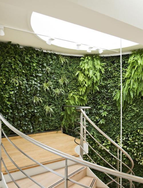2022绿色植物墙设计效果大全