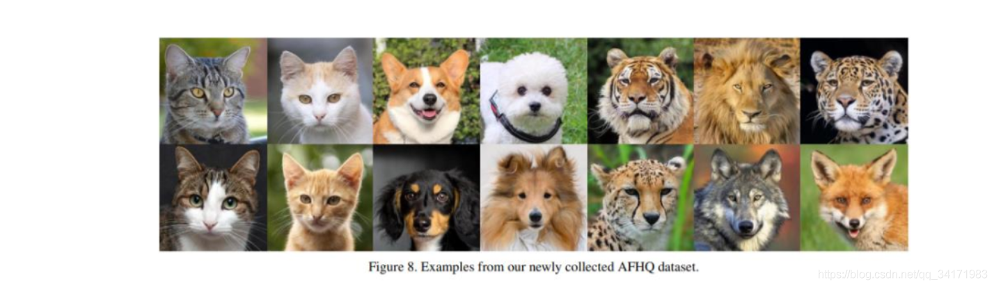 数据集包括猫狗和野生动物的三个域每个域提供5000张图像.