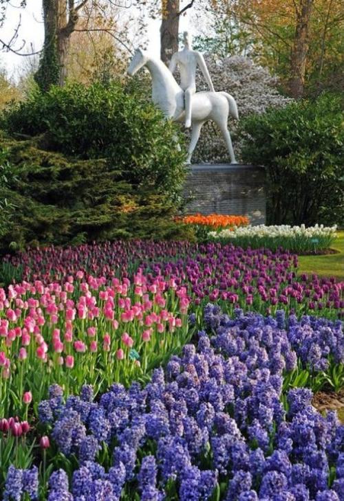 荷兰是世界上最大的花卉出口国该国的郁金香世界闻名.