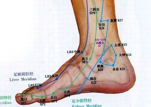 中医针灸学中足为足三阴之始足三阳之终双足分布有60多个穴位与内外
