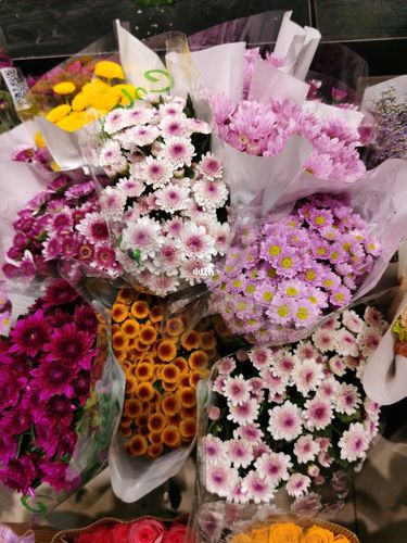 郑州人买鲜花好地方花很多还很新鲜花卉陈砦花卉郑汴路店自由行