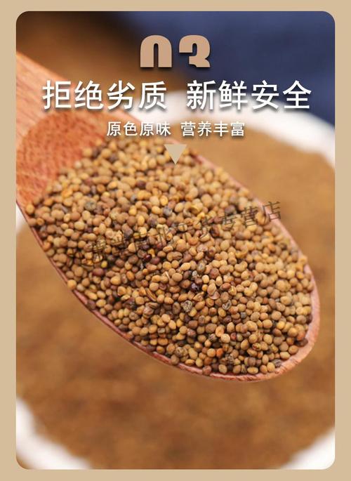 官方北京500g沙苑子菟丝子中药茶可磨粉和加兔丝子中药材特级