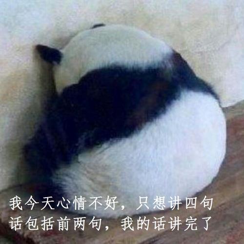 就是一个熊猫下面有两行字