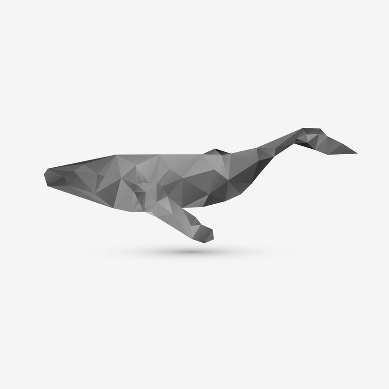 矢量抽象鲸鱼插画矢量抽象鲸鱼的背景说明