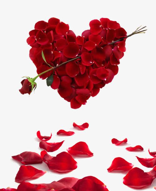 红色玫瑰花瓣心形造型