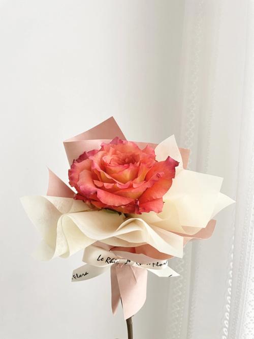 长沙花店设计款单支包装玫瑰