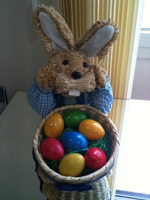 复活节复活节兔子复活节彩蛋兔