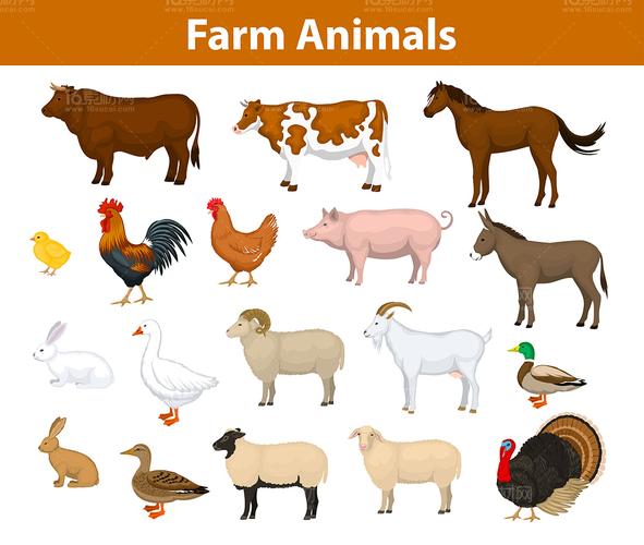 农场里的卡通动物集合矢量素材
