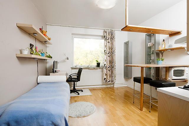 20平米斯德哥尔摩小户型公寓设计装修效果图2013图片