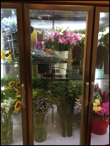 哪能定做鲜花展示柜风冷鲜花柜多少钱一台鲜花柜品牌