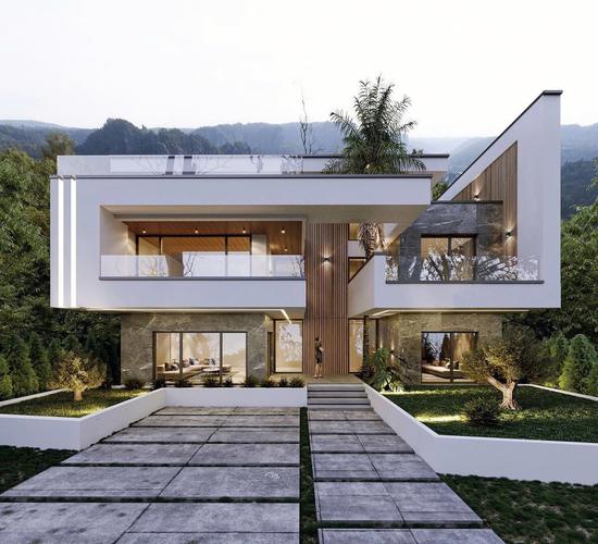 两层现代风格农村自建别墅设计私宅