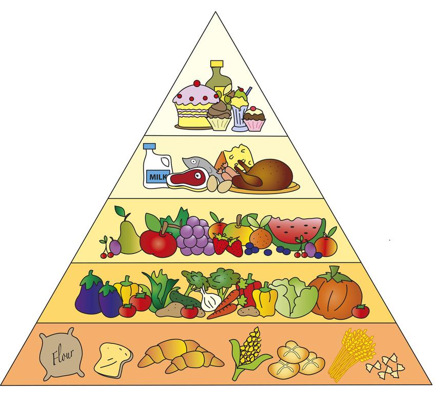 食物金字塔食物金字塔被隔绝的插图