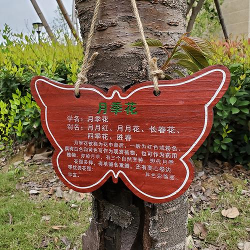 树木铭牌户外实木树牌定制绿化植物装饰挂牌