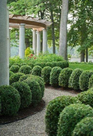 庭院设计绿篱就应该这样设计你的花园植物配置做对了吗