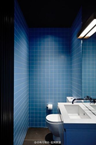 可取处不知道已是多少次推荐小方格瓷砖的卫生间了这个蓝色更是
