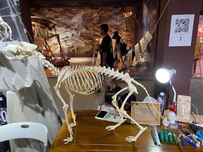 自由的骨头动物骨骼标本与原创设计
