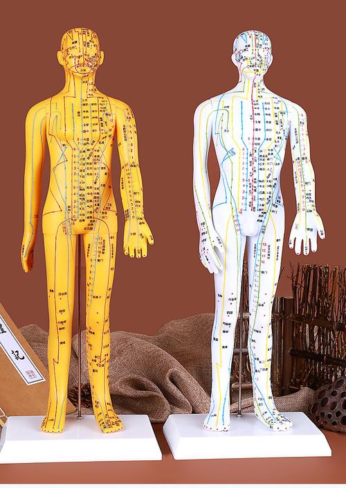 人体模型经络通穴位男女刻字全身中医针灸按摩教学医学小铜人家用