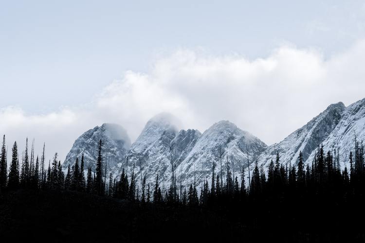 雪山下的松林景观2880x1800分辨率下载雪山下的松林景观图片壁纸