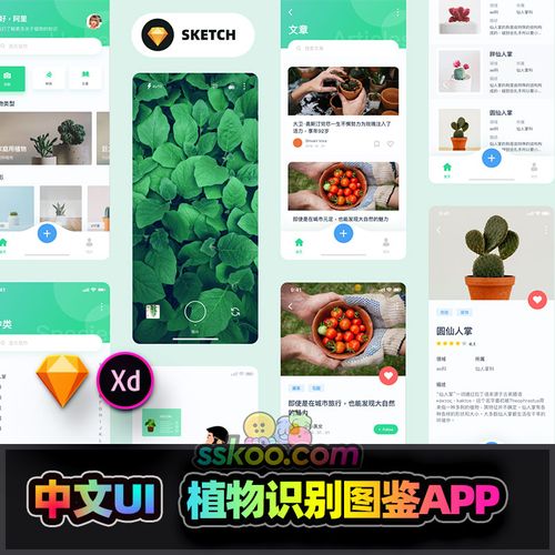 中文植物绿植识别鉴别图鉴app作品ui界面sketch设计xd素材模板