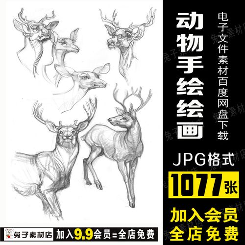 b79美术临摹素材麋鹿动物素描临摹素材狮子虎猫狗动物线条手绘图