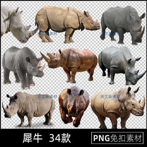 png犀牛免扣透明背景野生动物图片犀牛插图设计素材ps
