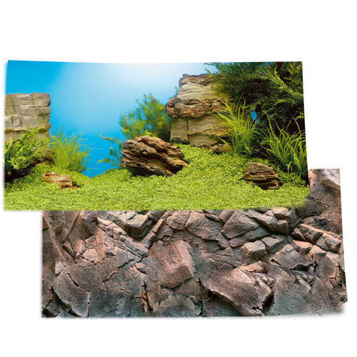 鱼缸德国装饰xl150专用水族箱造景背景水草岩石造景