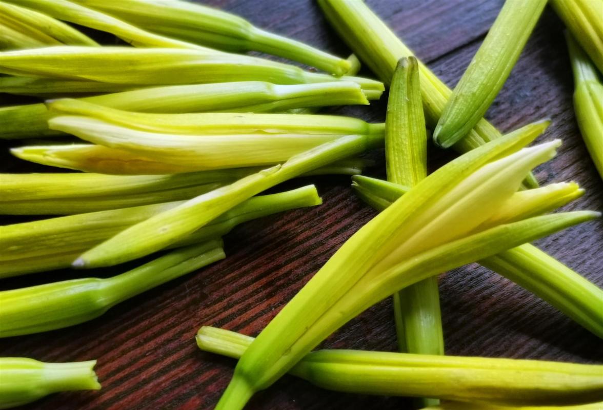夏季吃新鲜黄花菜这些小常识要知道吃出营养吃的健康